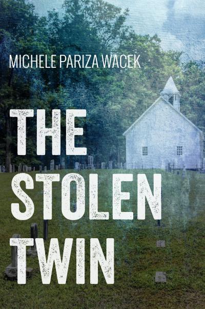 The Stolen Twin cover