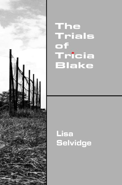 A broken fence and grey skies.