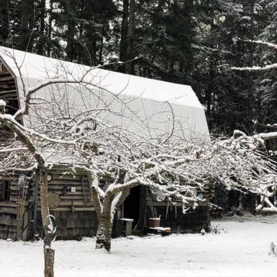 Profile picture for user amadams